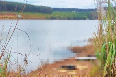 Đi thuyền ra hồ cho cá ăn, hai anh em mồ côi bị đuối nước thương tâm