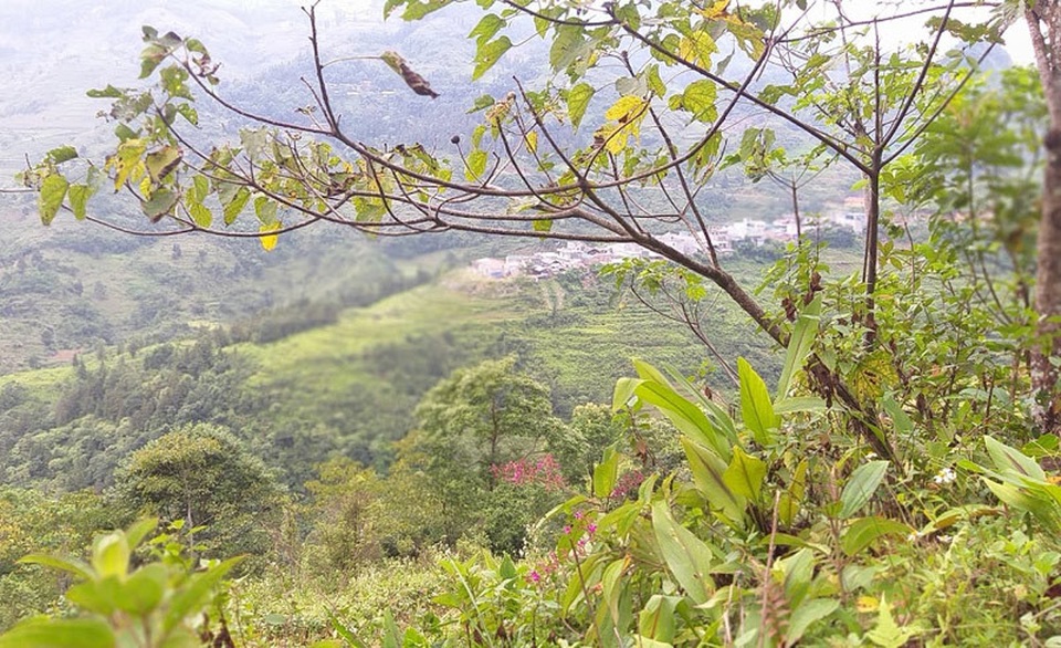 Bố chồng khuất núi để lại tài sản cho người không ai ngờ tới - 1 Bố chồng khuất núi để lại tài sản cho người không ai ngờ tới - 1