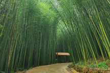 Cao Bằng gắn bảo tồn văn hóa dân tộc thiểu số với phát triển du lịch