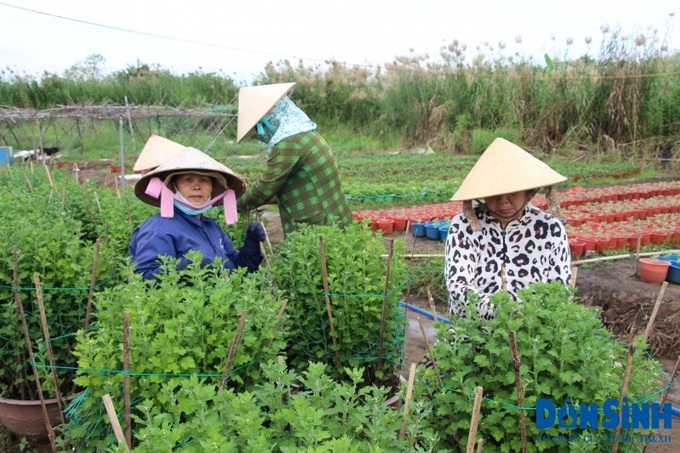 TP.HCM đặt mục tiêu đến năm 2025, thu nhập của nông thôn tăng ít nhất 1,5 lần so với năm 2020. 