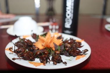 Đi và trải nghiệm: “Ẩm thực chim trời từ Kinh Bắc”