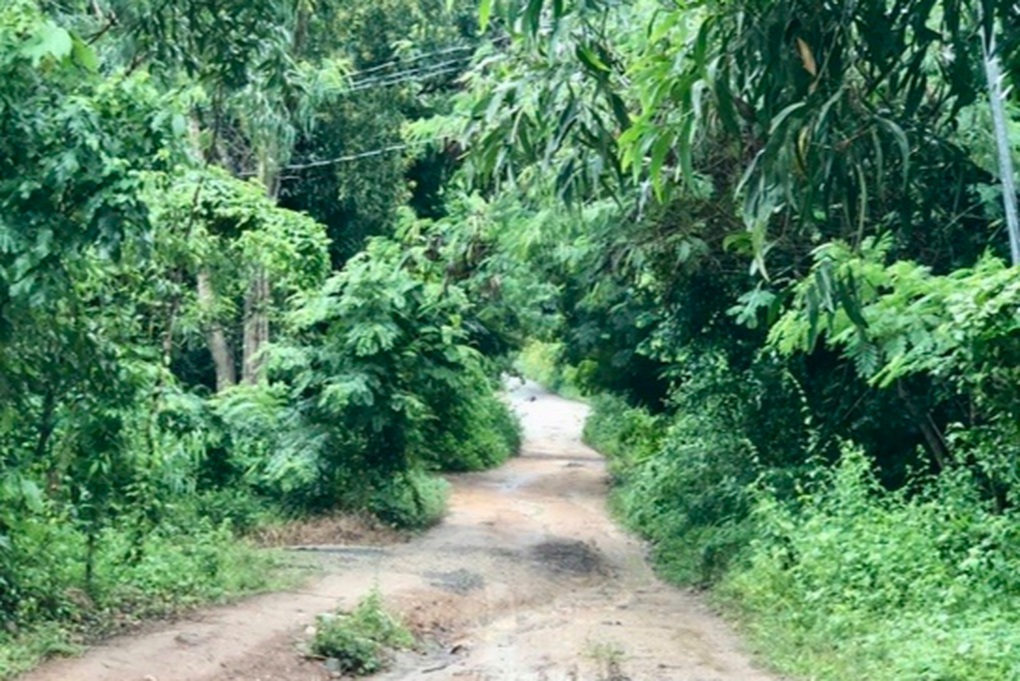 Điều tra vụ án con sát hại mẹ, chém trọng thương chị gái ở TPHCM - 1 Điều tra vụ án con sát hại mẹ, chém trọng thương chị gái ở TPHCM - 1