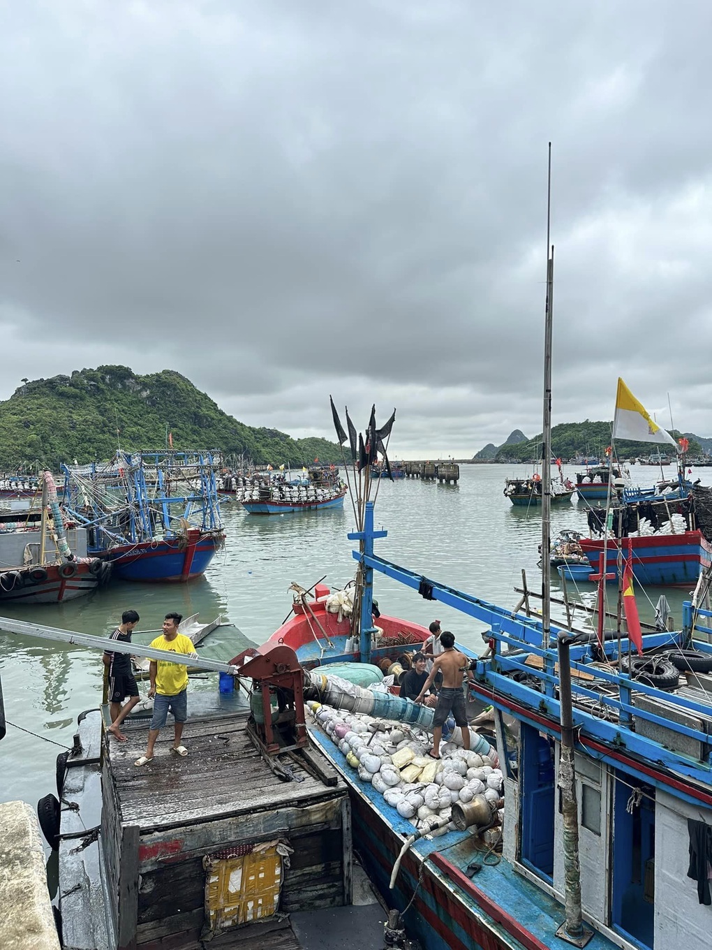 Du khách kể lại 2 ngày mắc kẹt không dám ra khỏi phòng trên đảo Cát Bà - 3