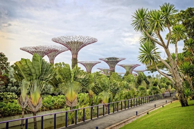 4 điều thú vị chỉ có ở Singapore khiến du khách đi hoài, đi mãi cũng không biết chán - Ảnh 1. 4 điều thú vị chỉ có ở Singapore khiến du khách đi hoài, đi mãi cũng không biết chán - Ảnh 1.