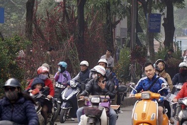 "Con đường đào quất" lớn nhất Hà Nội