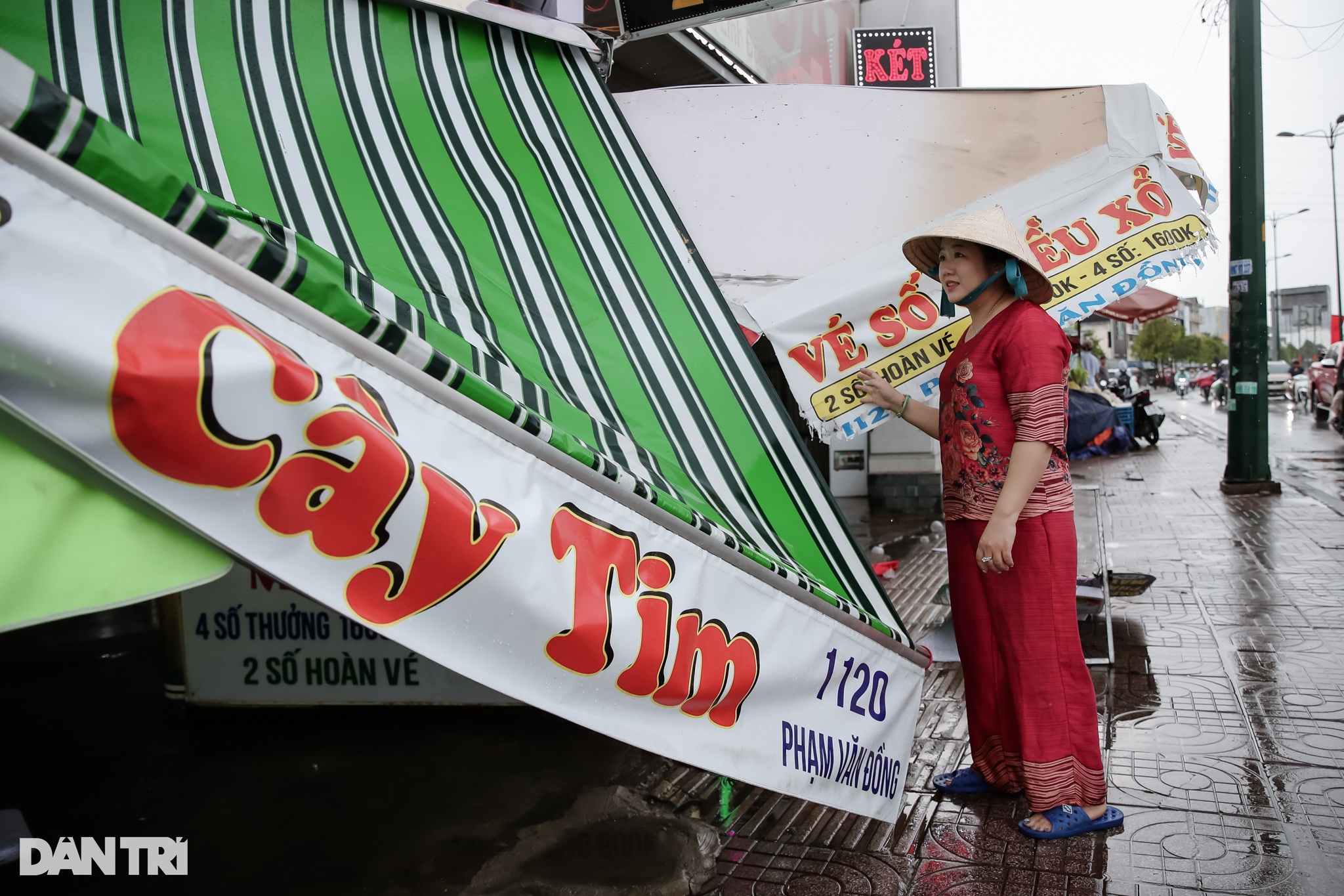Cây xanh ngã đổ, hàng quán ngổn ngang sau cơn mưa giông ở TPHCM - 4 Cây xanh ngã đổ, hàng quán ngổn ngang sau cơn mưa giông ở TPHCM - 4