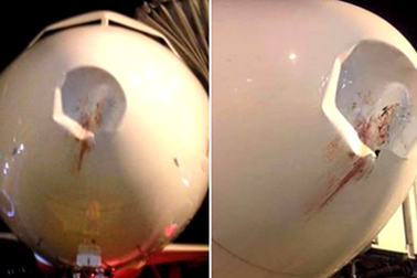 Máy bay bị móp động cơ, nghi do va đập với chim trời