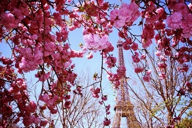 Sau cơn khủng hoảng là những điều đẹp đẽ