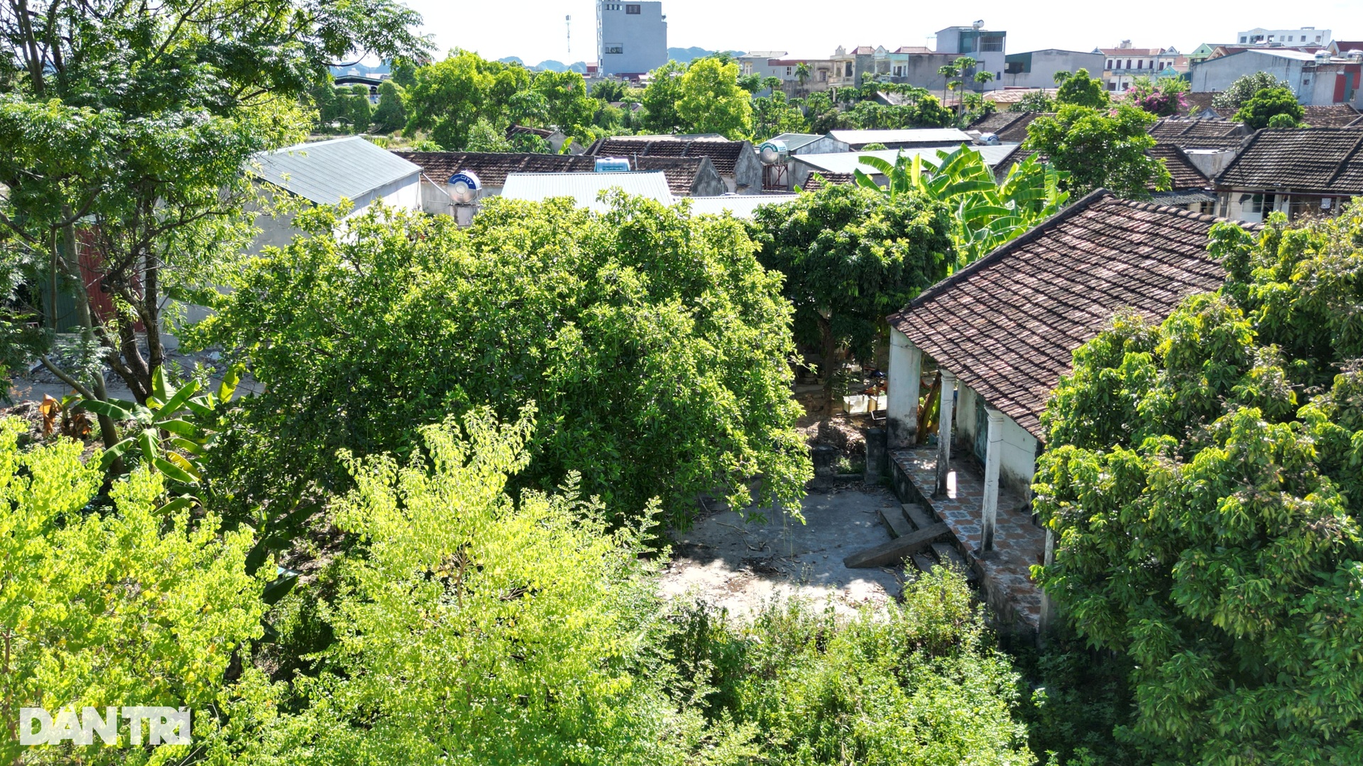 Dự án trên đất vàng thành phố Ninh Bình đắp chiếu suốt 22 năm - 5 Dự án trên đất vàng thành phố Ninh Bình đắp chiếu suốt 22 năm - 5