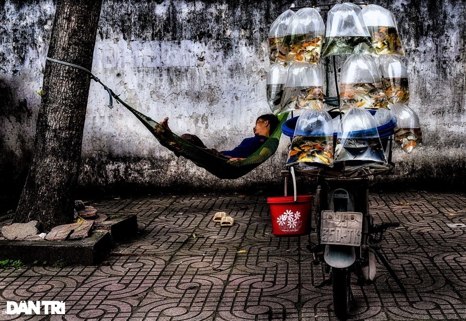 Nghệ sĩ nhiếp ảnh Việt Nam giành 2 huy chương cuộc thi ảnh quốc tế - 2 Nghệ sĩ nhiếp ảnh Việt Nam giành 2 huy chương cuộc thi ảnh quốc tế - 2