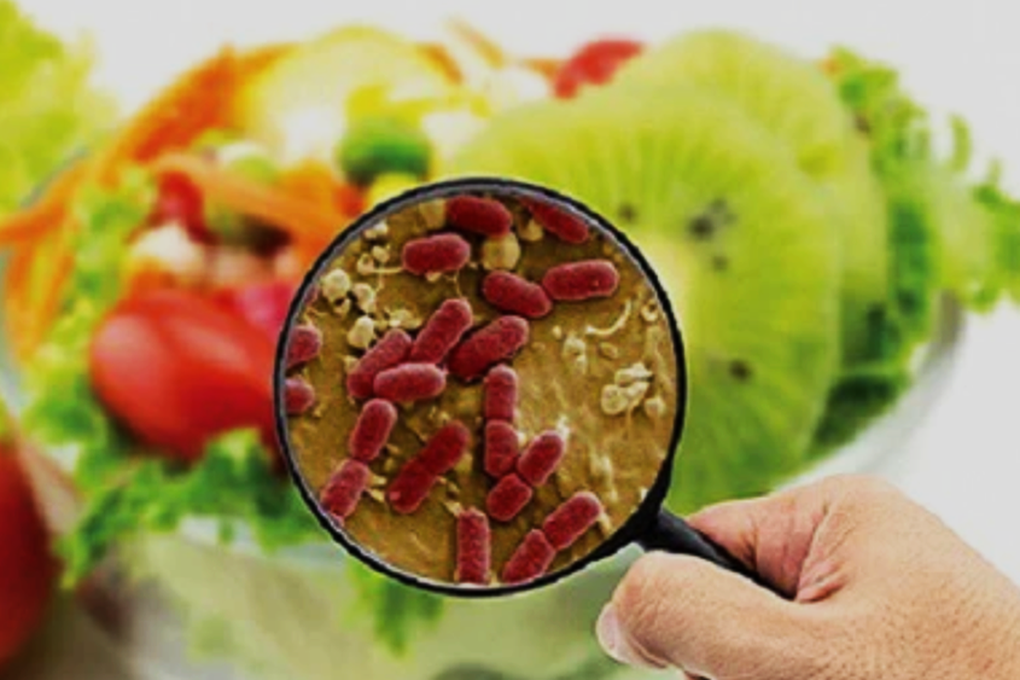 Vụ ngộ độc sau khi ăn bánh mì ở TPHCM: Giải trình tự gen vi khuẩn - 2