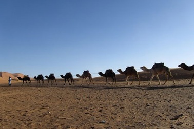 Qua nơi muối từng đắt ngang vàng ròng