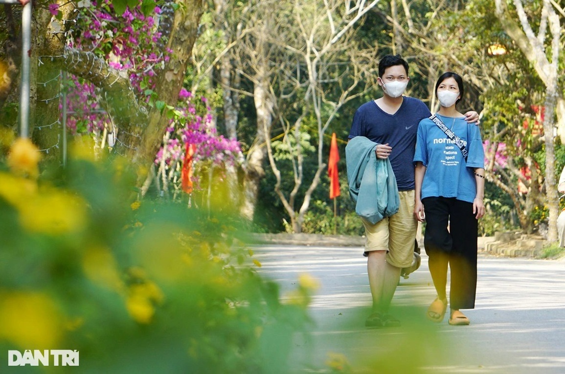 Giới trẻ thỏa sức sống ảo với đường hoa tình yêu trên đỉnh Trường Lệ - 7 Giới trẻ thỏa sức sống ảo với đường hoa tình yêu trên đỉnh Trường Lệ - 7
