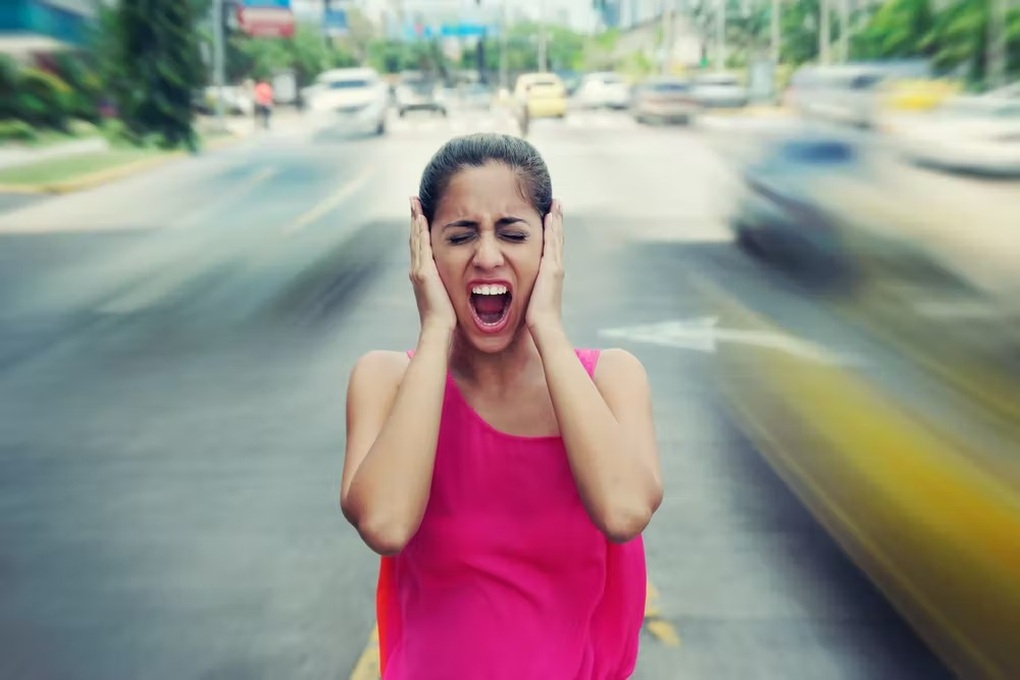 Các nước mạnh tay xử phạt hành vi gây ô nhiễm tiếng ồn như thế nào? - 1 Các nước mạnh tay xử phạt hành vi gây ô nhiễm tiếng ồn như thế nào? - 1