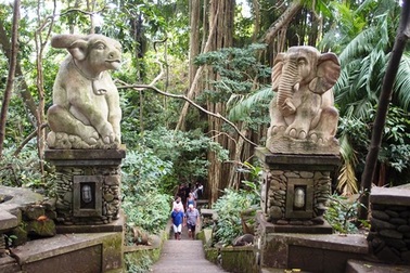 Vương quốc loài khỉ giữa rừng già Bali