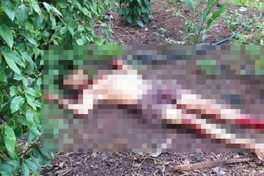 Điều tra vụ người đàn ông chết bất thường trong vườn tiêu