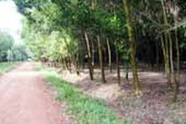 Chủ tịch tỉnh Tây Ninh bị kỷ luật