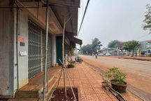 Cây xanh đô thị "mọc" ngay dưới mái hiên nhà dân