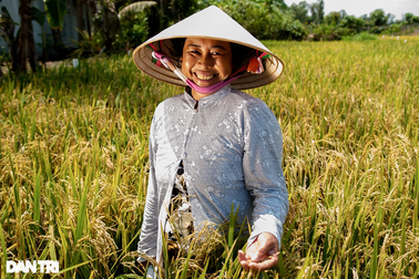 "Bạn ăn cơm chưa?"- Câu hỏi của Bộ trưởng và lời đáp bất ngờ từ Giám đốc WB