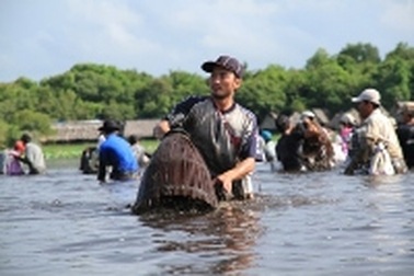 Hàng trăm người dân ngâm mình trong lễ hội bắt cá ở Trằm Trà Lộc