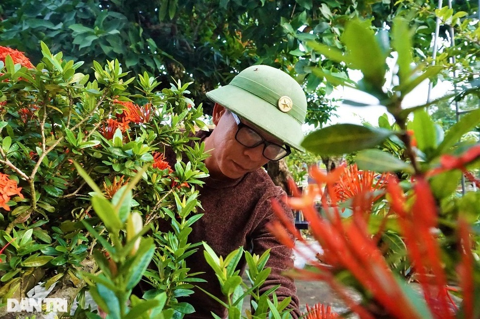 Người thổi hồn vào những gốc duối, ổi, me, bồ đề - 7 Người thổi hồn vào những gốc duối, ổi, me, bồ đề - 7