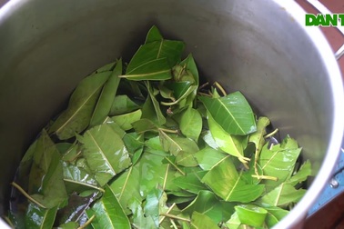 Huy động cả gia đình nấu 20.000 chai nước vối gửi vào khu cách ly