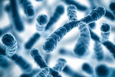 Phát hiện phương pháp mới trong điều trị hội chứng Down