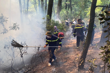 Trắng đêm dập lửa cứu rừng ở Nghệ An