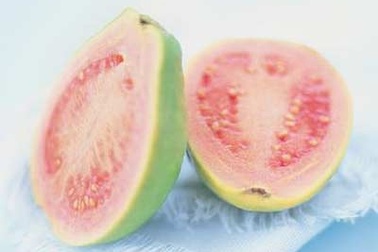 Ổi chín nhiều vitamin C hơn cả cam