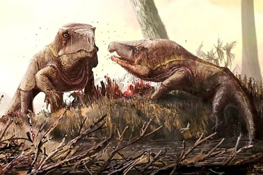 Loài rồng 250 triệu năm tuổi với cái đầu khổng lồ kì lạ ở Nga