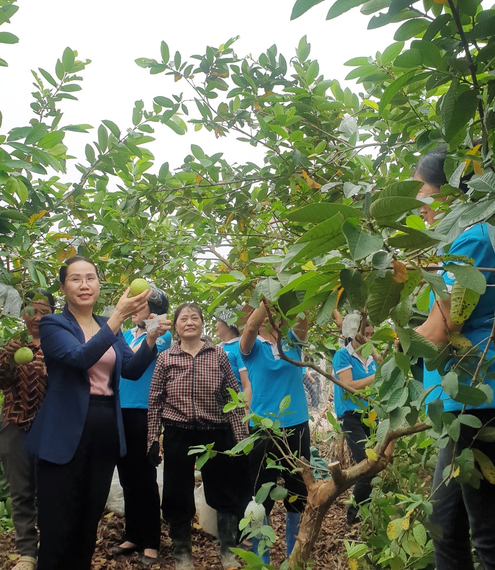 Hưng Yên mới: Từ thành tựu nông thôn mới để bứt phá giai đoạn 2026-2030 - 1