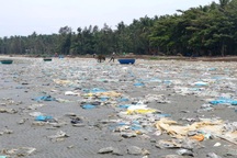 Kinh hãi cảnh rác thải nhựa dày đặc trên "đảo ngọc" của Quảng Nam