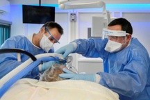 Omicron xuất hiện ở Hà Lan trước khi Nam Phi phát cảnh báo lên WHO