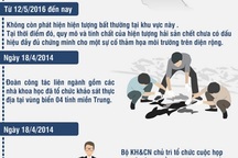 [Infographics]: Quá trình "truy tìm" nguyên nhân cá chết của các nhà khoa học