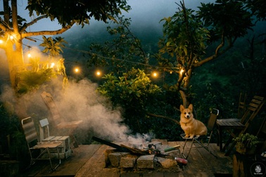 Chàng trai 9X giành 300 triệu biến nhà cũ thành không gian sống cực "chill"