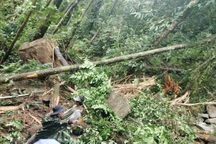 Một đêm xảy ra 3 trận động đất ở 2 tỉnh Kon Tum và Quảng Nam