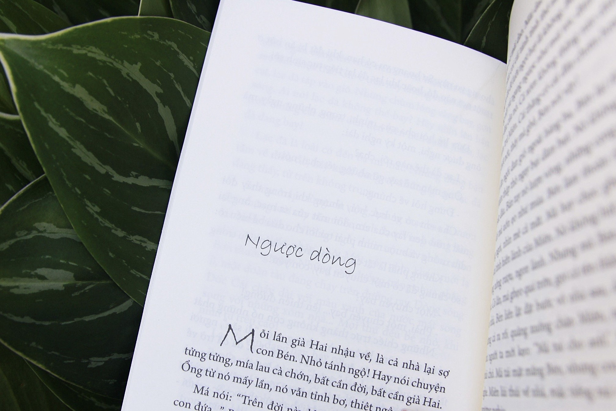 Flying Camel: អ្នកនិពន្ធ Gen Z ប្រាប់ពីដីខាងក្នុងនៃជីវិតដែលរសាត់ - ២ Lạc đà bay: Tác giả Gen Z kể miền đất nội tâm của những phận đời trôi nổi - 2