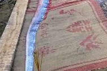 Liên tiếp phát hiện cá “thiêng” dạt vào bờ