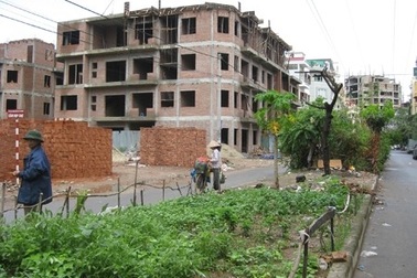 Thanh tra Chính phủ đôn đốc xử lý sau thanh tra tại Vigecam