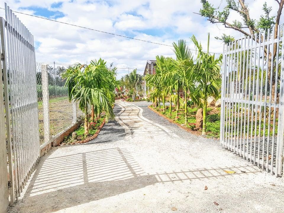 Ông bố trẻ ở Đắk Lắk làm nhà vườn đổi gió đẹp mê chỉ 160 triệu đồng - 14 Ông bố trẻ ở Đắk Lắk làm nhà vườn đổi gió đẹp mê chỉ 160 triệu đồng - 14