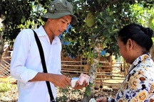 Cần Thơ, Bến Tre, Vĩnh Long chi tiền hỗ trợ cho người bán vé số dạo