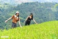 Nhà hàng, khách sạn ở Sapa mở cửa trở lại: "Từ sáng đón về 6 khách vẫn vui"