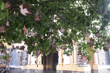 Festival Nghề truyền thống Huế gửi gắm thông điệp hòa bình