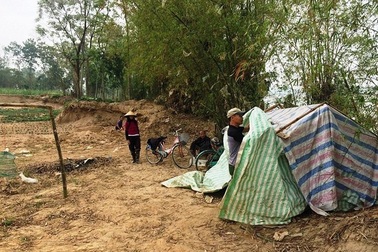Dân dựng chòi canh cát tặc