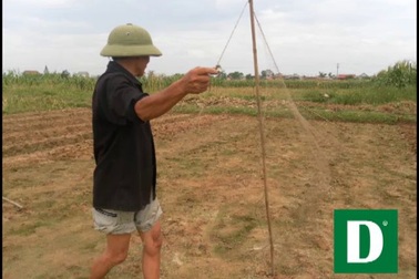 Tiếng khóc chim sẻ.