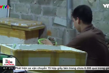 Chế biến cua xay: Dùng xẻng xúc cát, trộn cả hóa chất như trộn... vữa