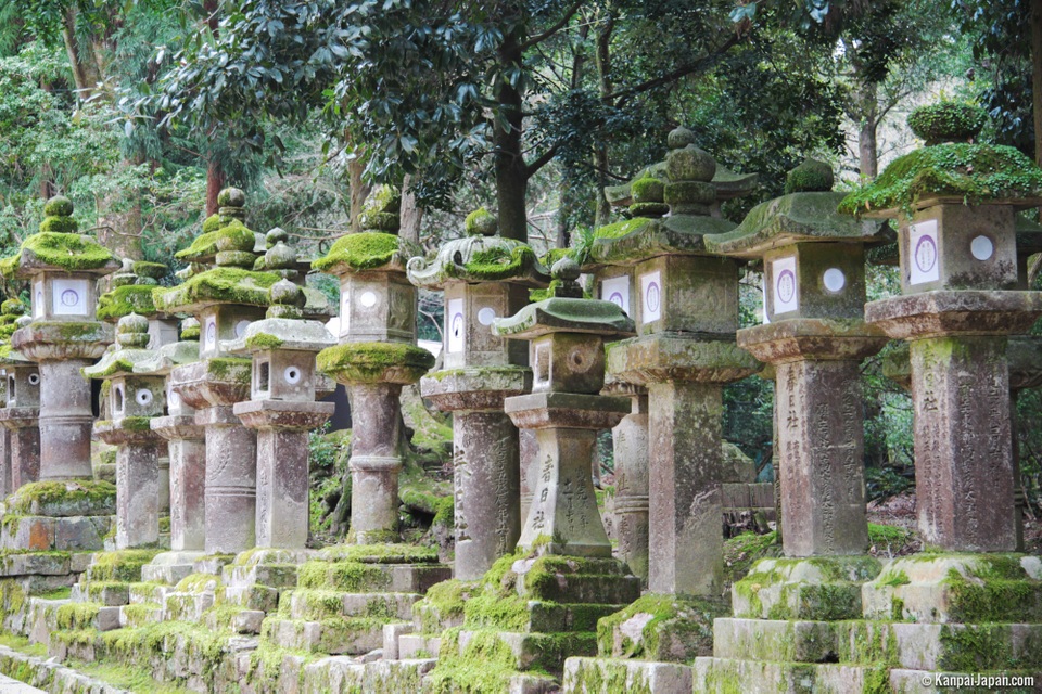 Đền Kasuga Taisha với nghìn chiếc đèn lồng mang ước vọng trăm năm - 4 Đền Kasuga Taisha với nghìn chiếc đèn lồng mang ước vọng trăm năm - 4