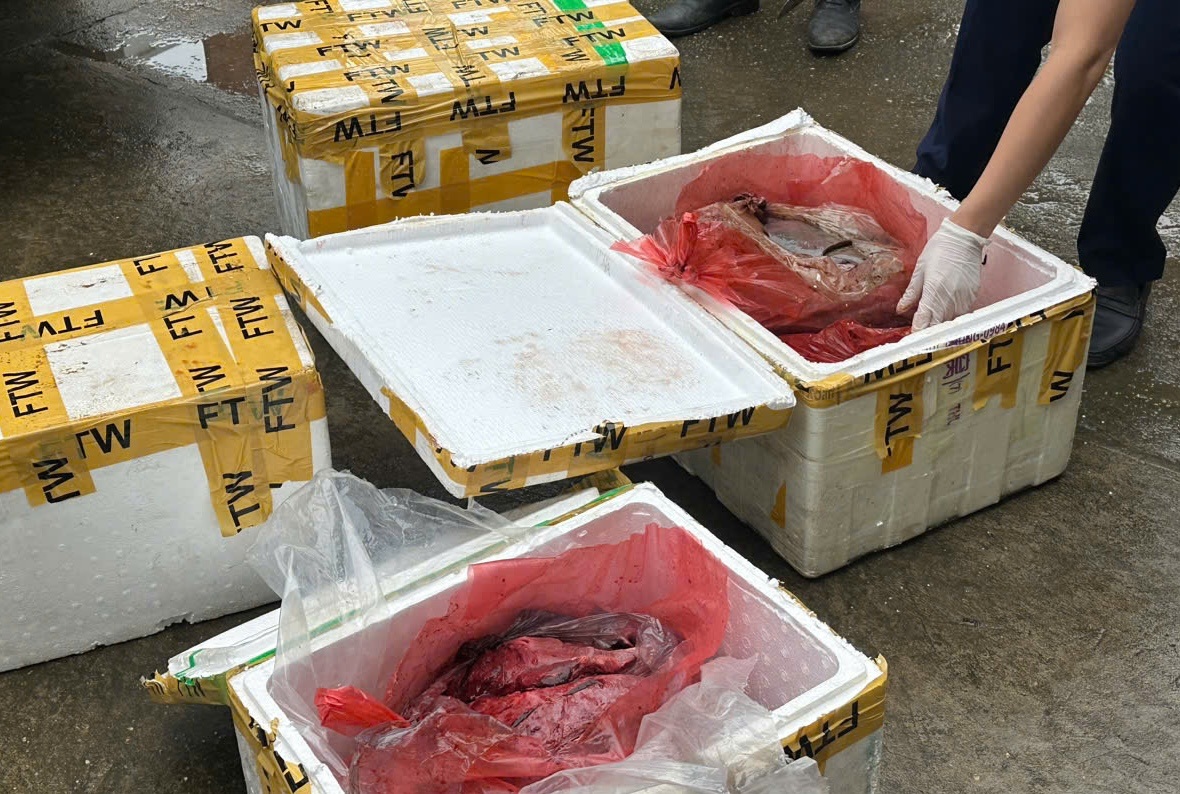 Chở hơn 1 tạ nội tạng trâu, bò bốc mùi đi bán cho các quán ăn - 2