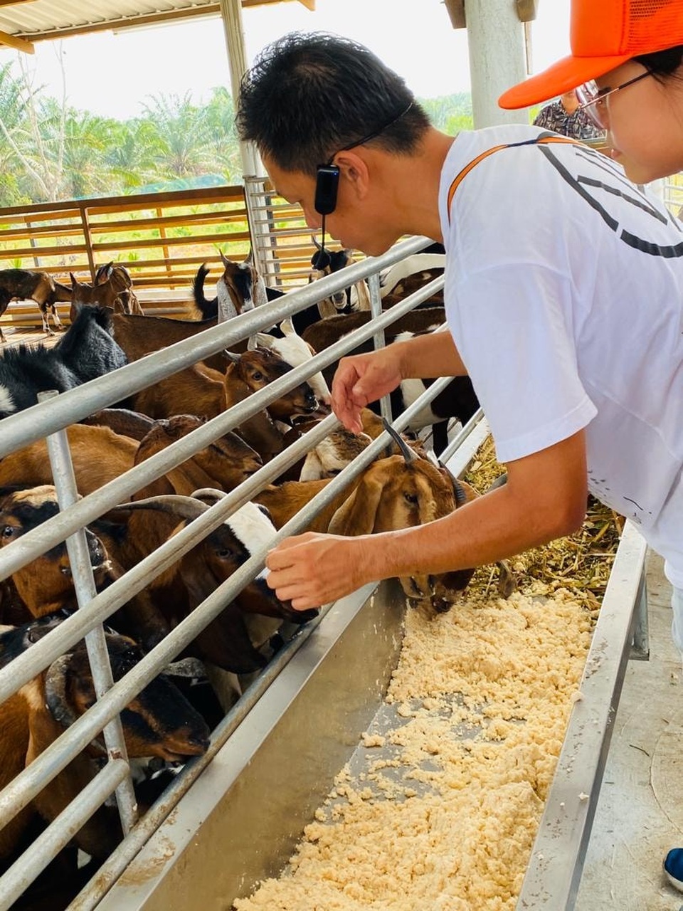 Giám đốc ngân hàng bỏ việc lương cao để sống với ước mơ làm nông dân - 4 Giám đốc ngân hàng bỏ việc lương cao để sống với ước mơ làm nông dân - 4