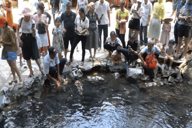 Du khách chen chân xem suối cá thần ở Thanh Hóa